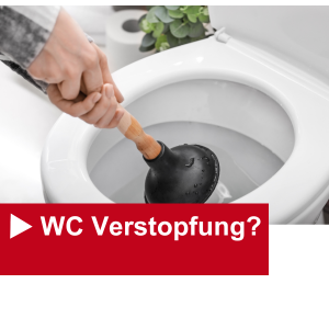 WC Verstopfung Rohrreinigung-satteins